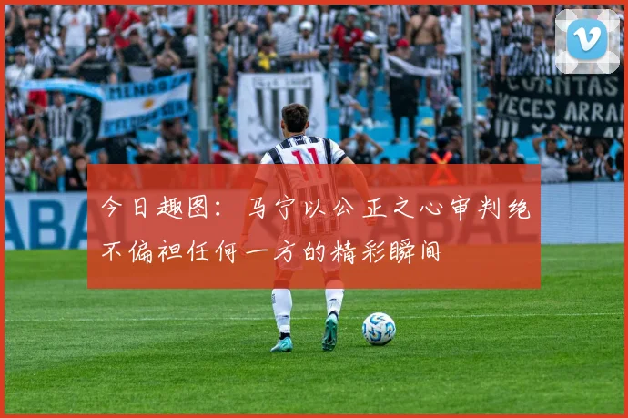 今日趣图：马宁以公正之心审判绝不偏袒任何一方的精彩瞬间